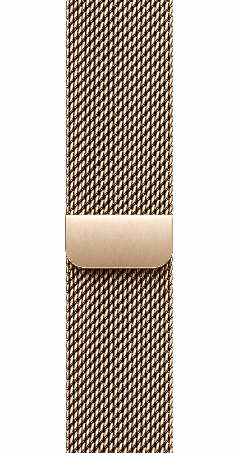 Apple Watch Series 11  Titanium (GPS + Cellular)